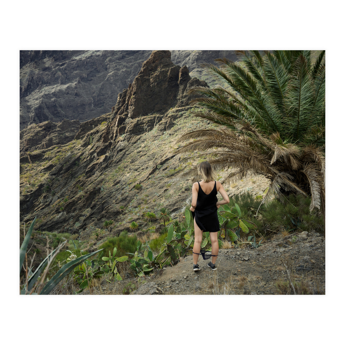 Pirates' Hideout (Print Only)