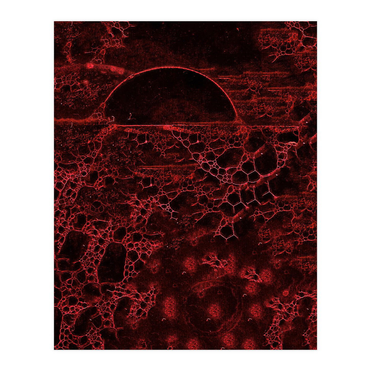 Red bubble (Print Only)