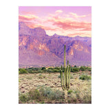 Cactus Sunset (Print Only) thumbnail