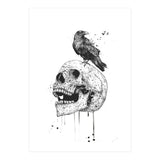 New Skull (bw) (Print Only) thumbnail