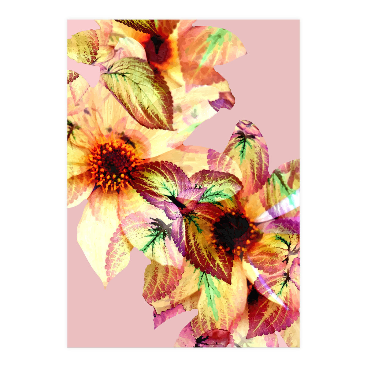 Flower Power (Print Only)