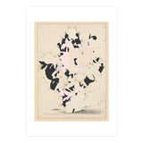 The First Plant · E (Print Only) thumbnail