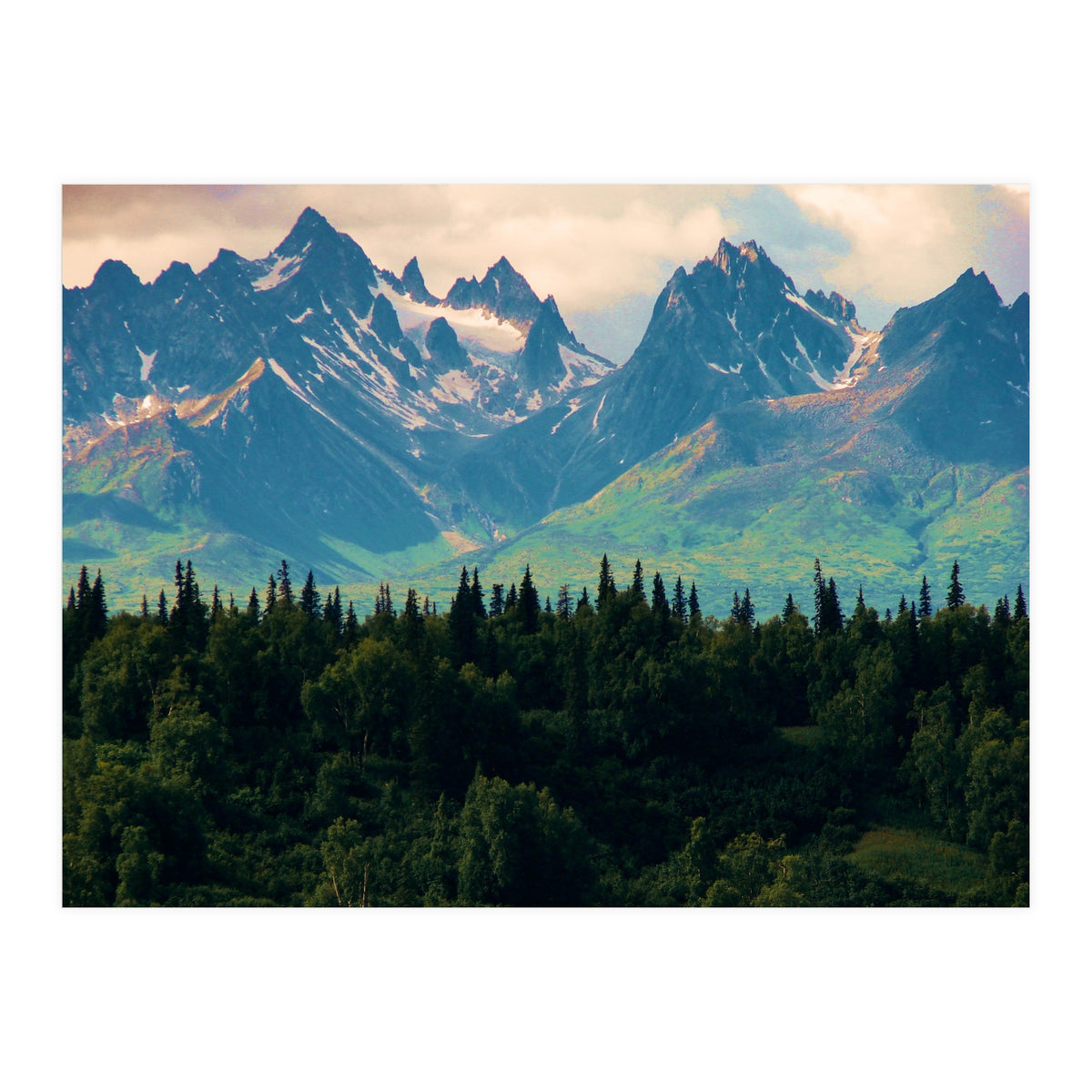 Escaping from woodland heights II (Print Only)