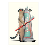 Meerkat Brushing Teeth, Funny Bathroom Humour (Print Only) thumbnail
