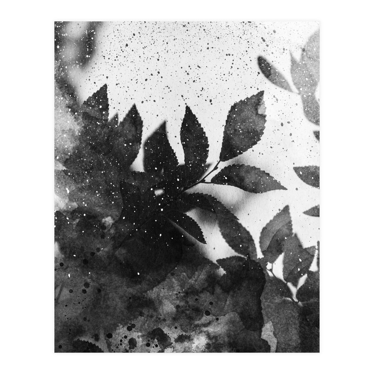 Leaves #1 (Print Only)