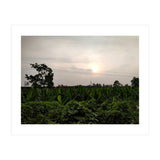 Never Ending Journey (Print Only) thumbnail