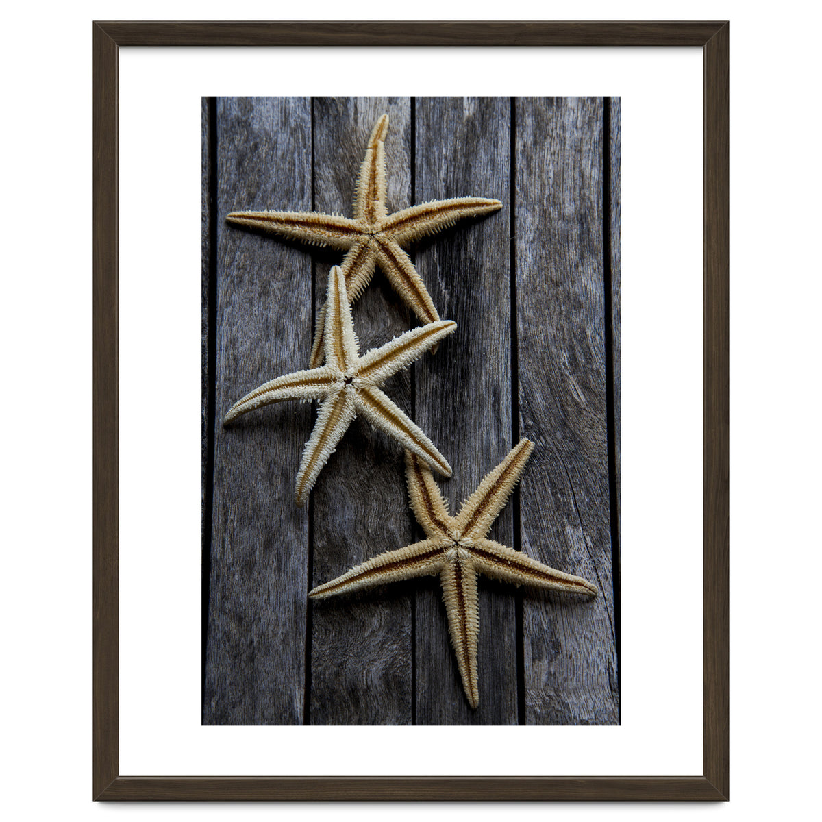 Starfishes in wooden