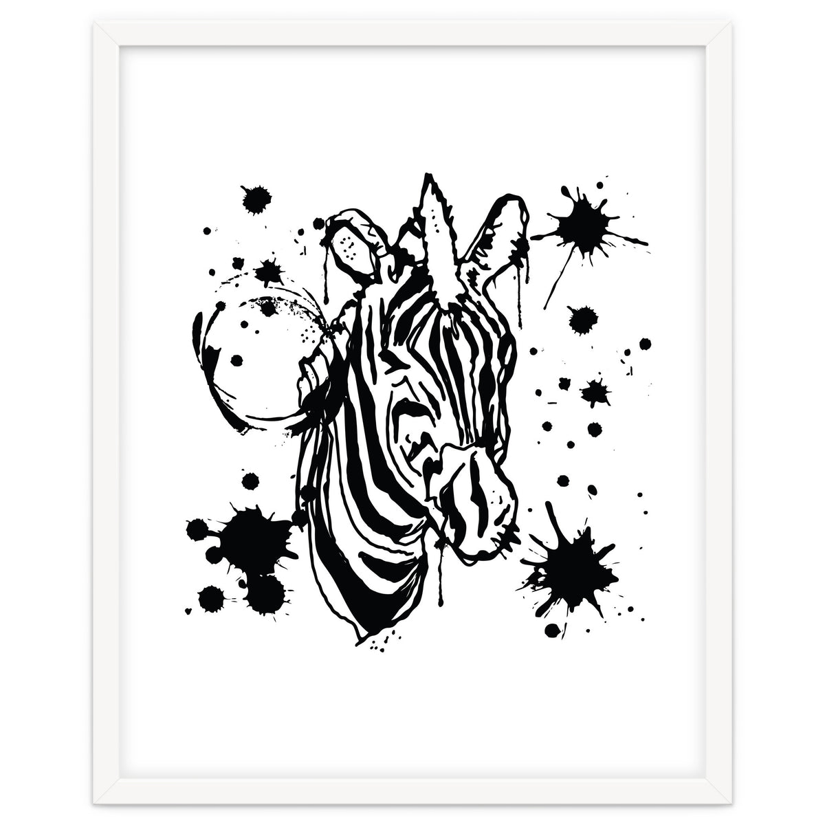 Zebra sketch