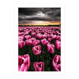 Spring Palette (Print Only) thumbnail