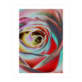 Rose (Print Only) thumbnail