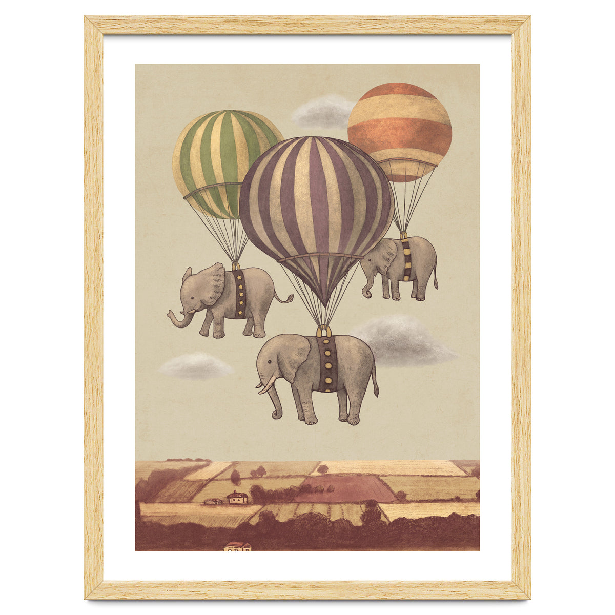 Flight Of The Elephants