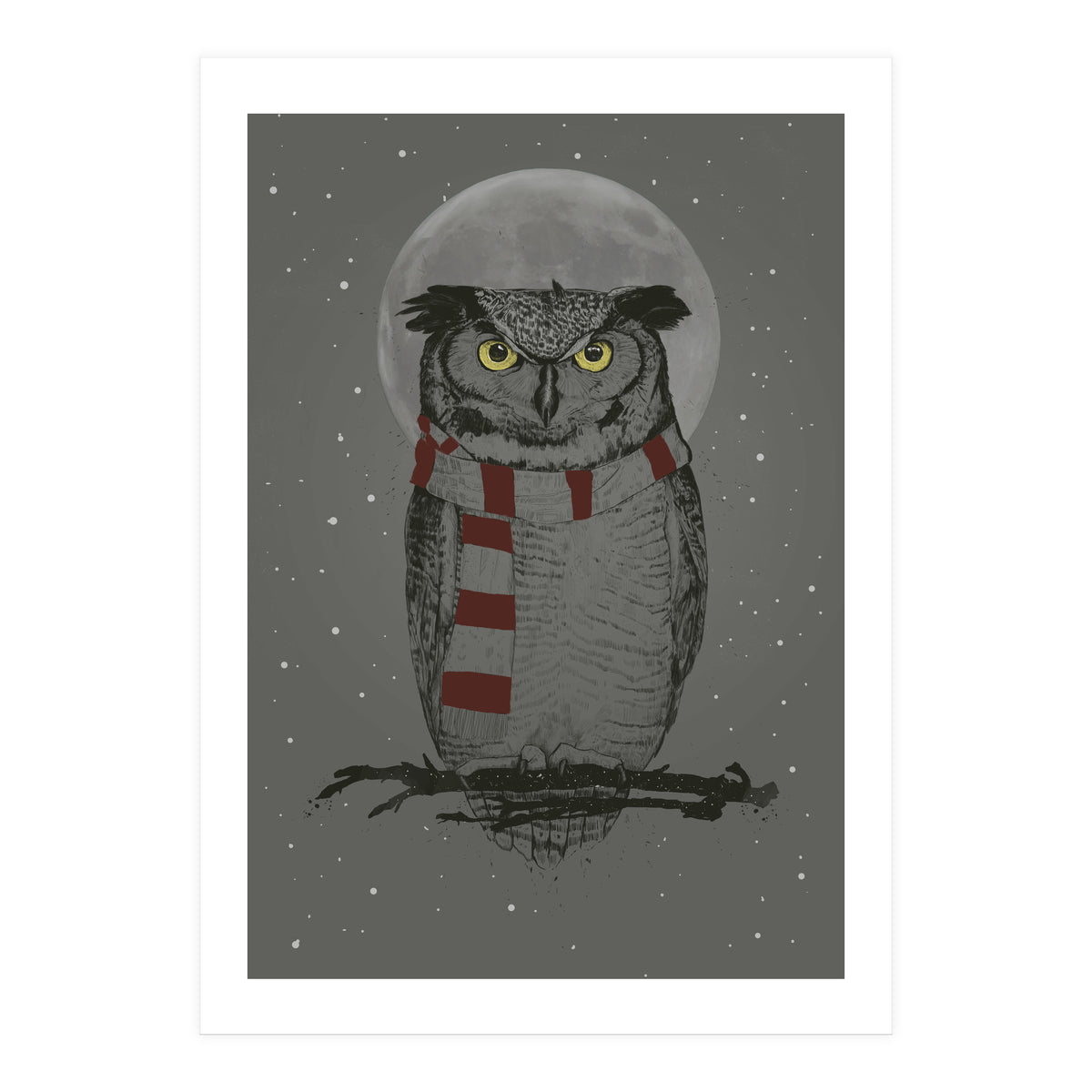 Winter Owl (Print Only)