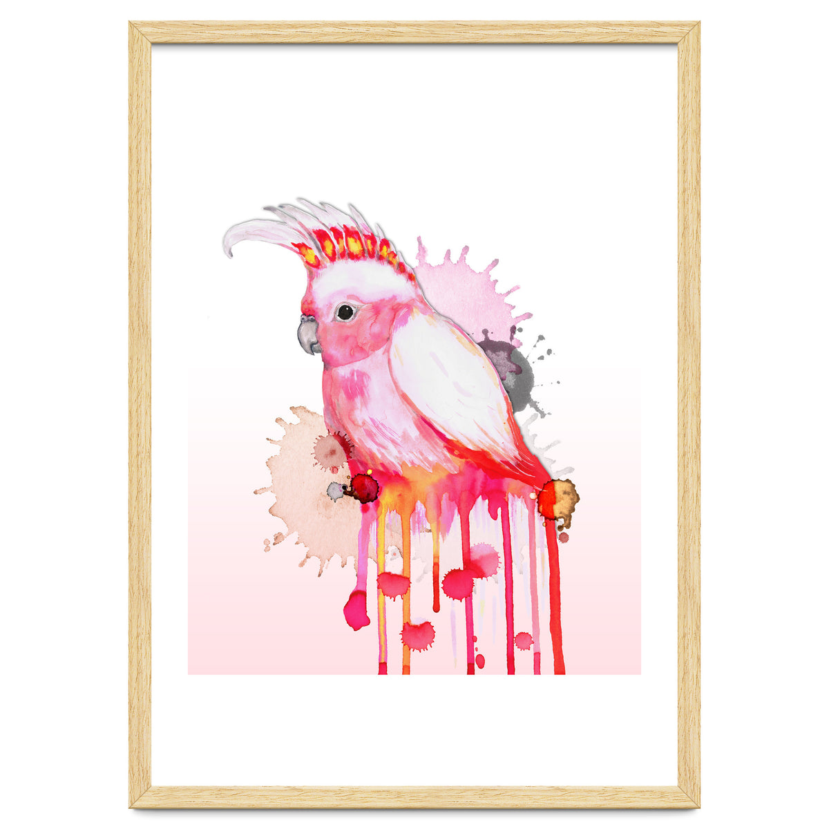 Major Mitchell's cockatoo