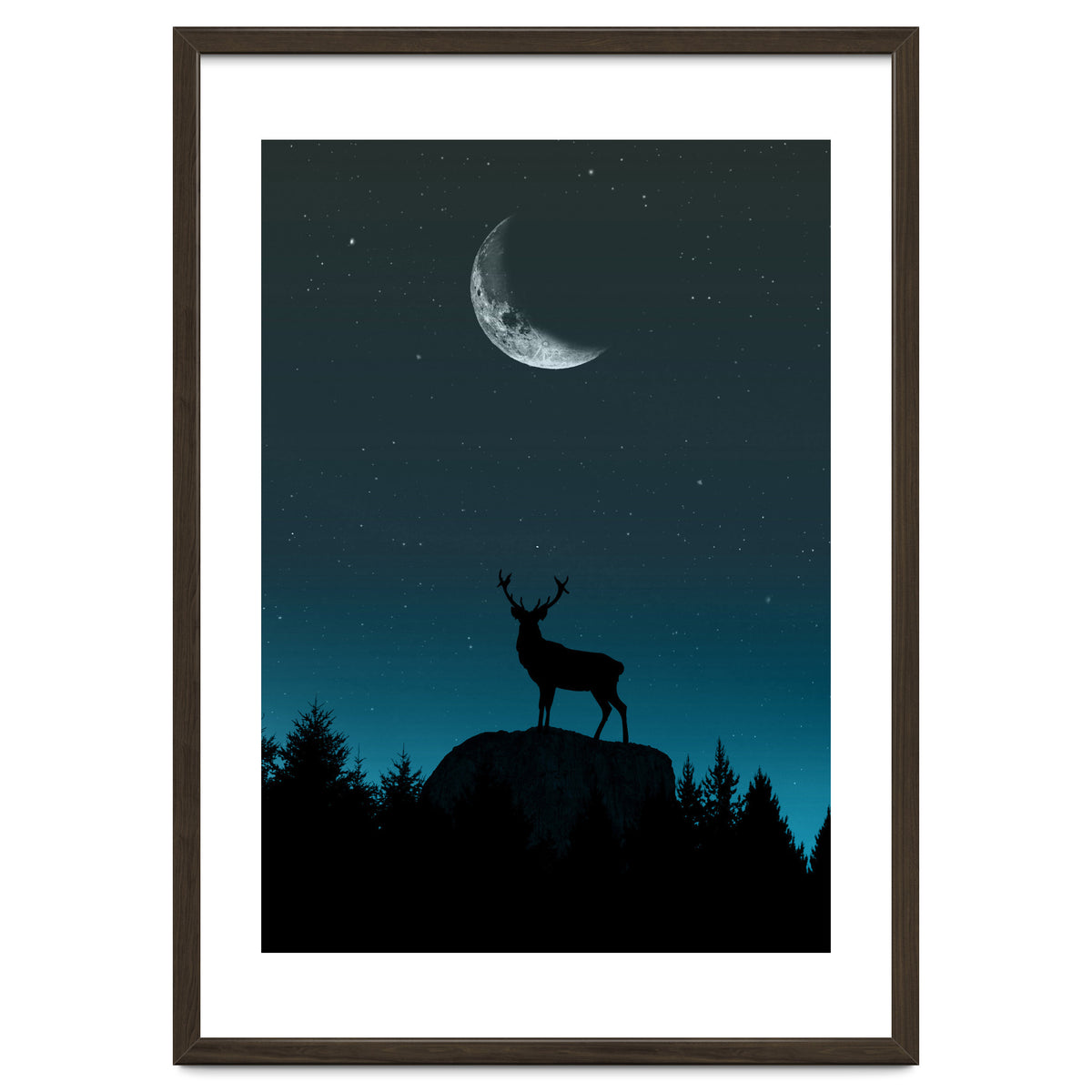 Wild Nature - Nocturne