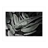 Snake (Print Only) thumbnail