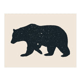 Bär (Print Only) thumbnail