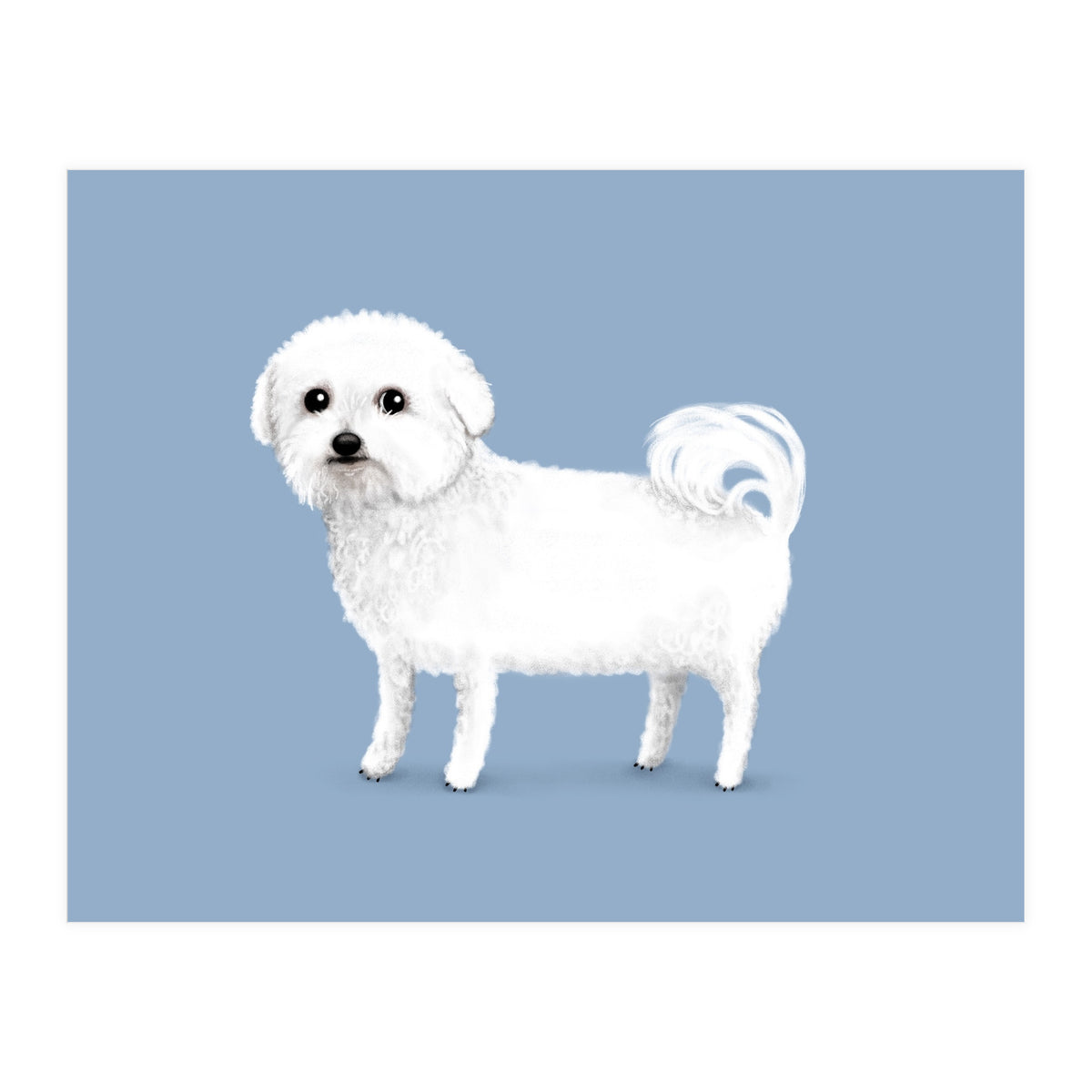 Bichon Frise (Print Only)