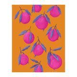 Pink Citrus (Print Only) thumbnail