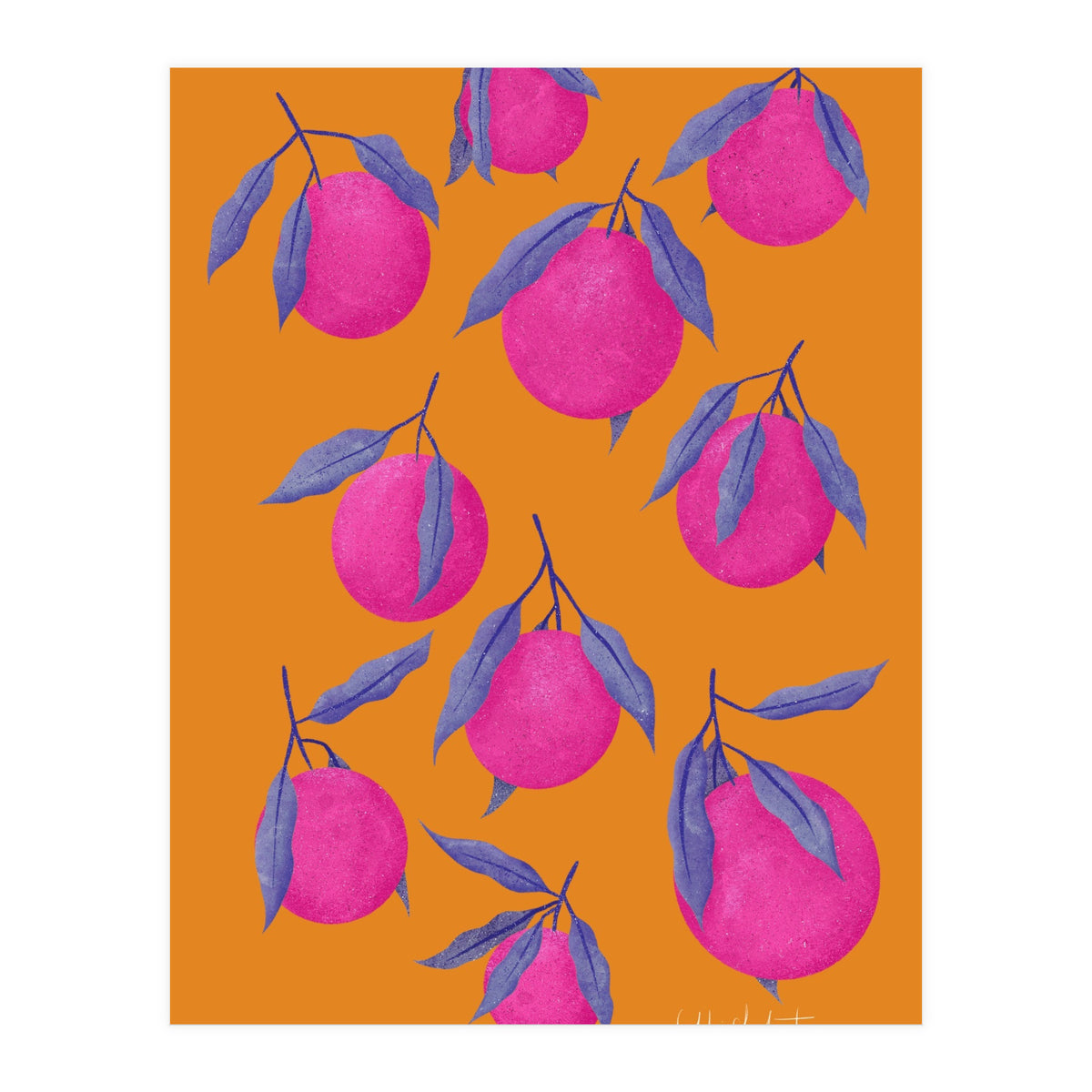 Pink Citrus (Print Only)