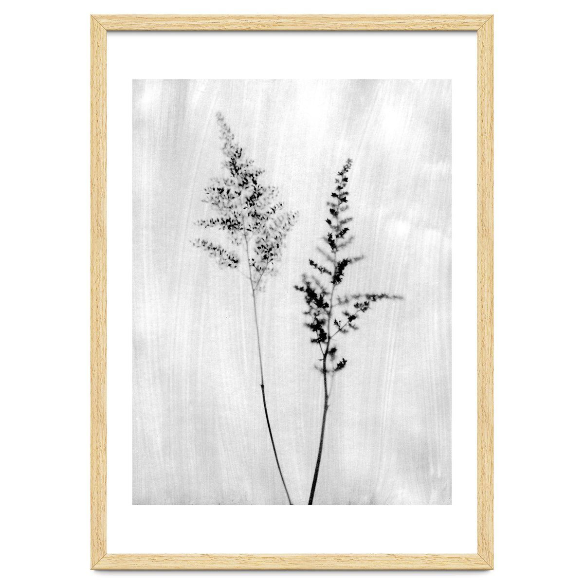 Delicate Wildflowers