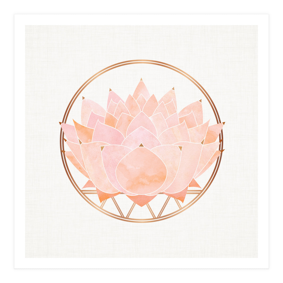 Peach Succulent  Blossom (Print Only)