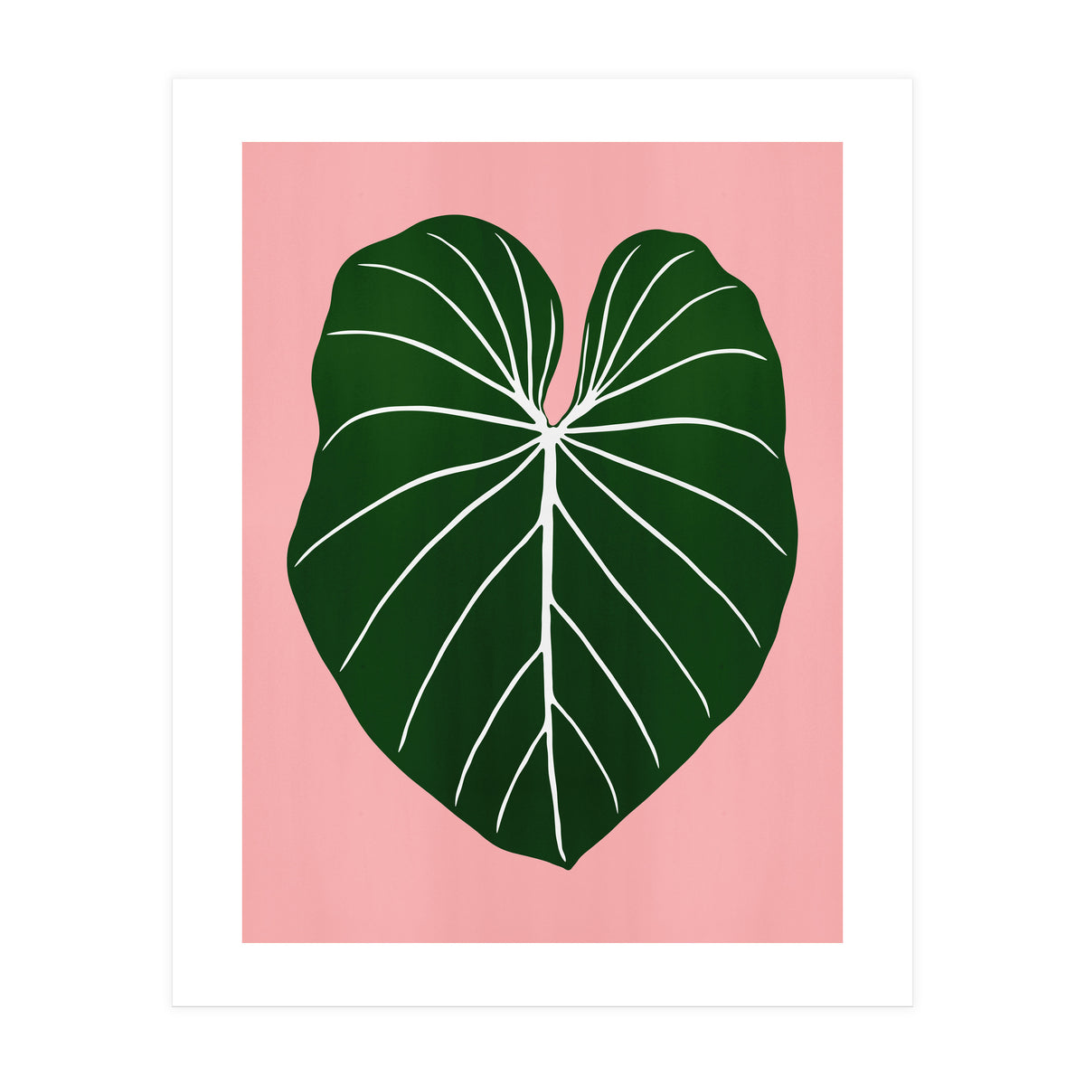 Leaf 05 (Print Only)