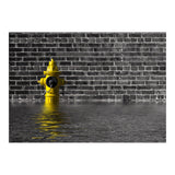 Waterworks No 1 (Print Only) thumbnail
