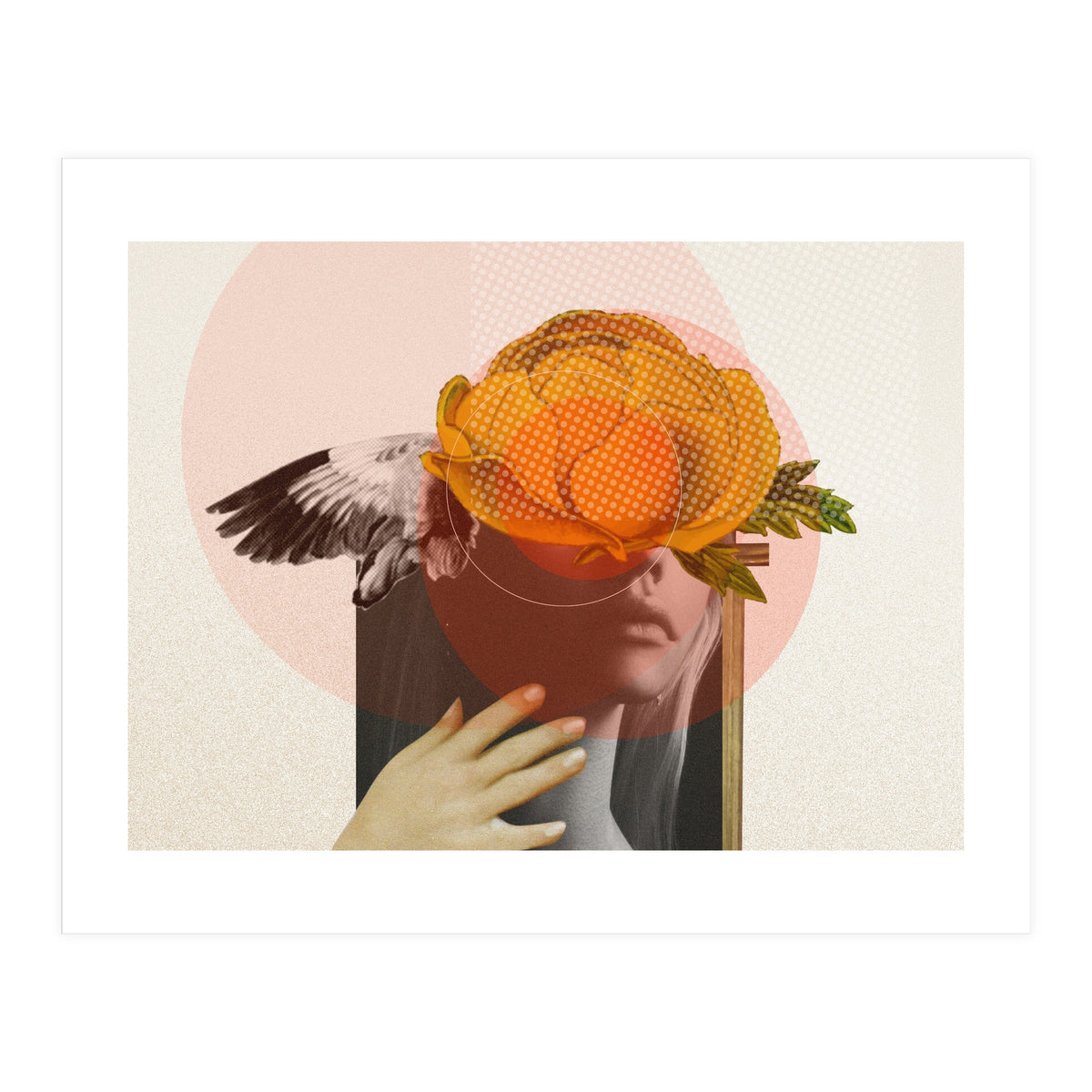 Dreamland Division · C (Print Only)