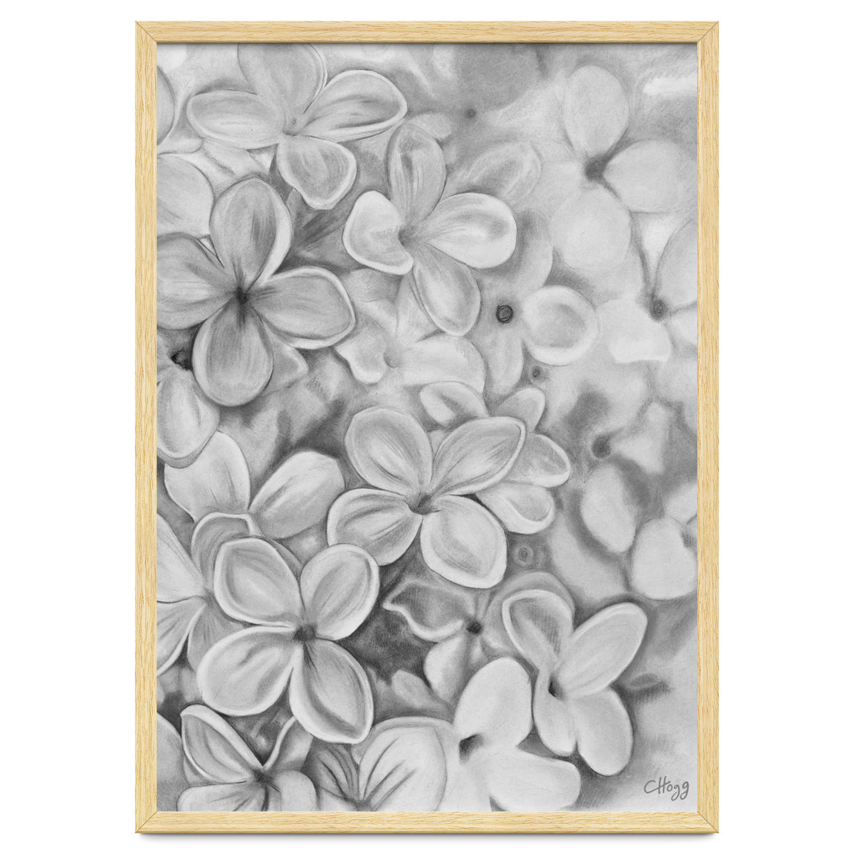 The Essence Of Spring in Monochrome