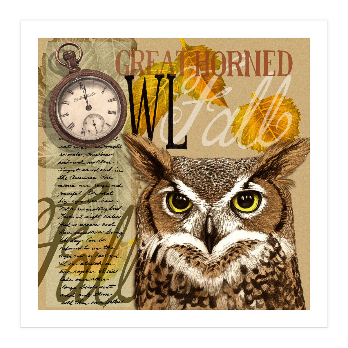Great Horned Owl (Print Only)