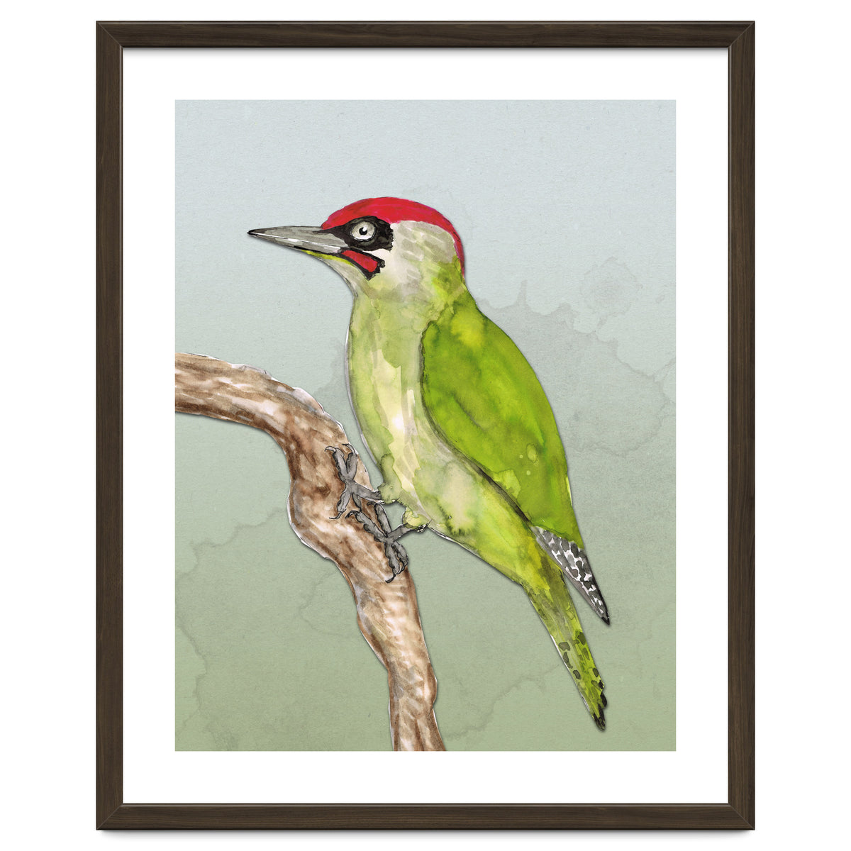 Green woodpecker