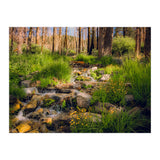 San Gorgonio Stream (Print Only) thumbnail