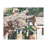 Passing by Cherry Blossoms (Print Only) thumbnail