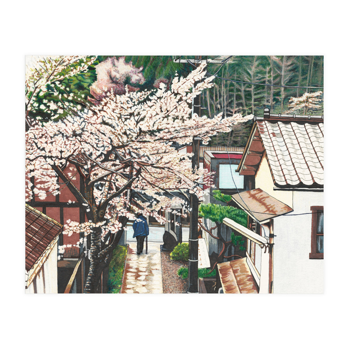 Passing by Cherry Blossoms (Print Only)
