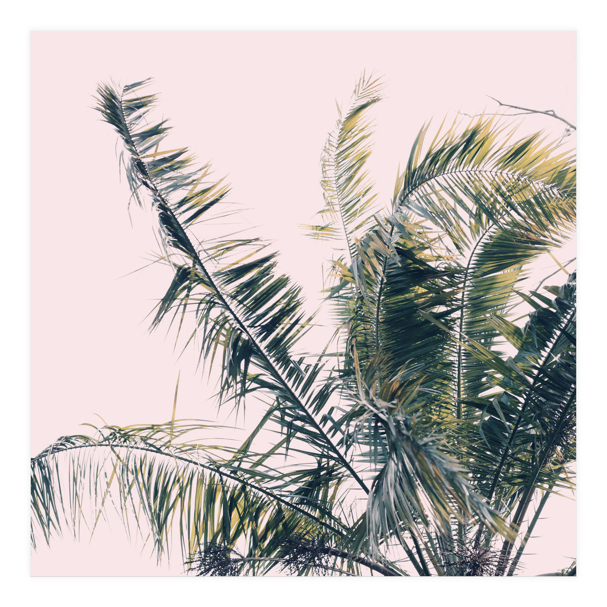 Winds Of Change #1 (Print Only)