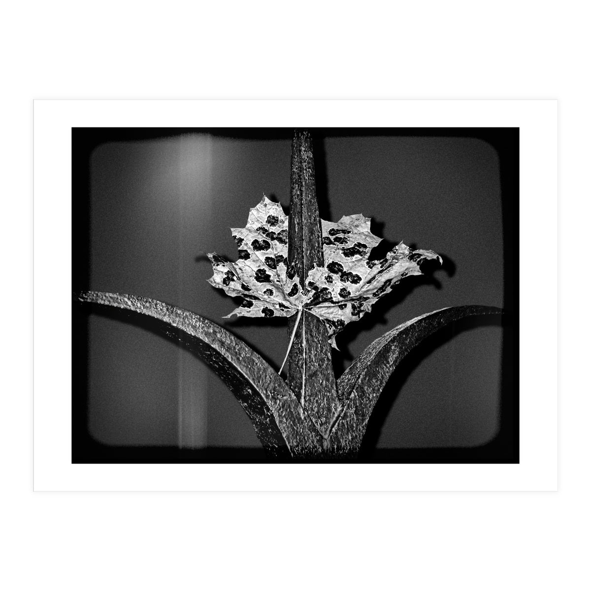 Womens Lib (Print Only)