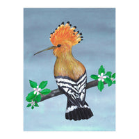 Hoopoe bird (Print Only)