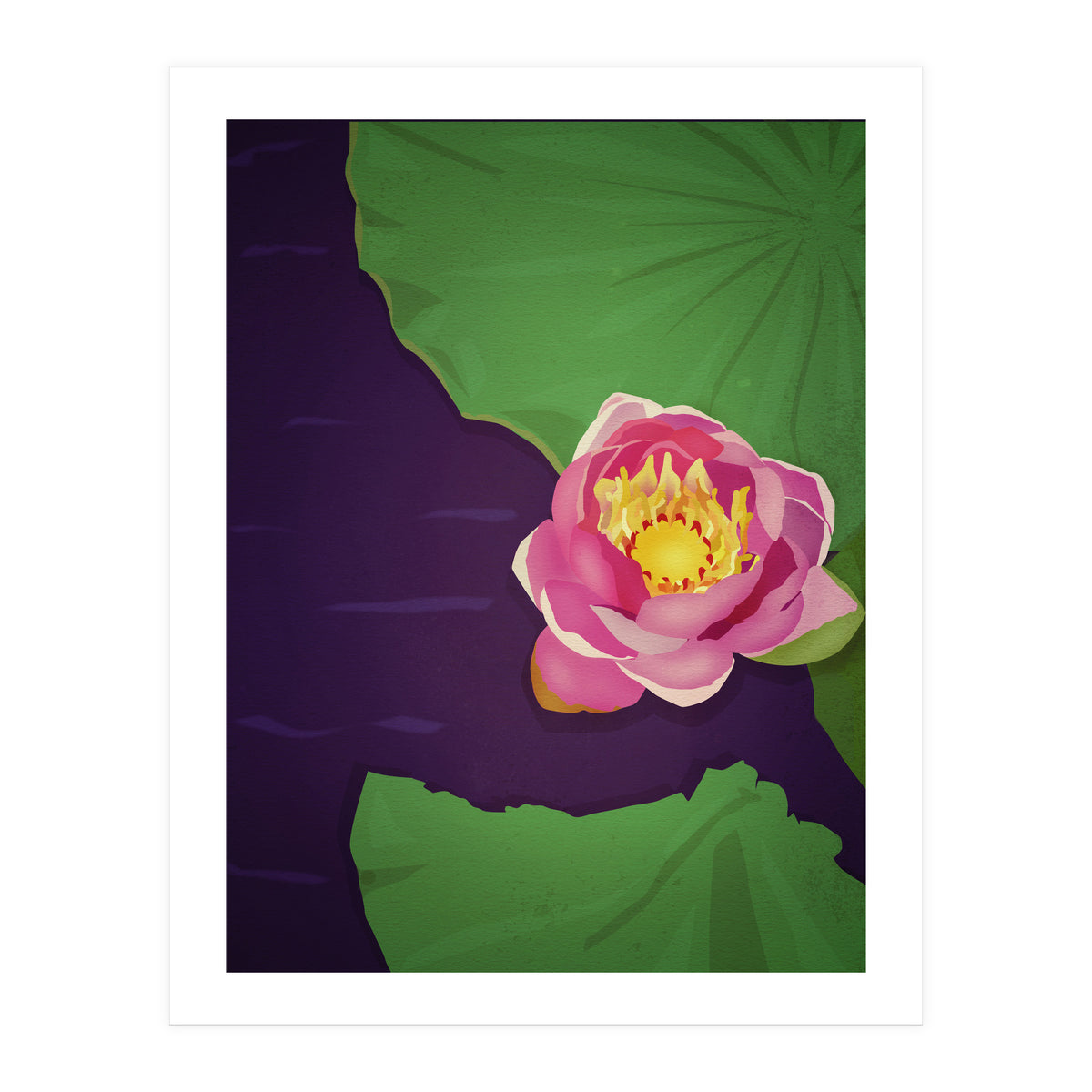 Water lily (Print Only)