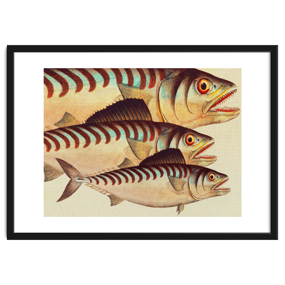 Fish Classic Designs 8