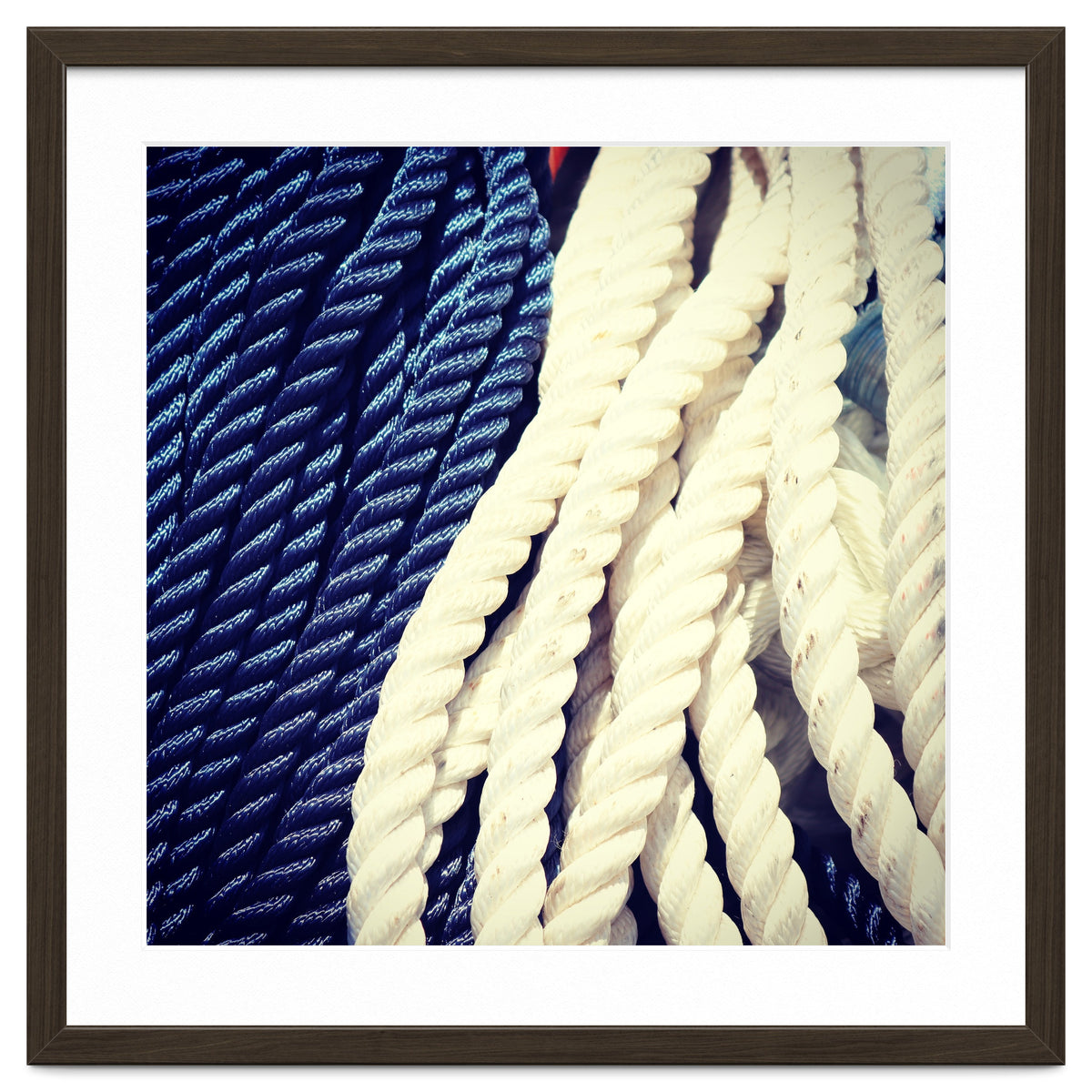 Blue and white fishing rope