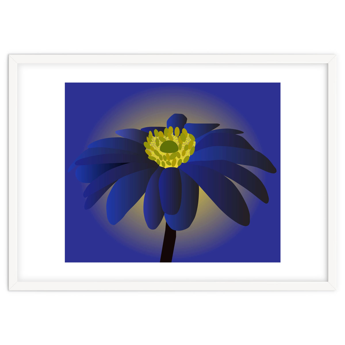 Anemone Blanda Flower Art
