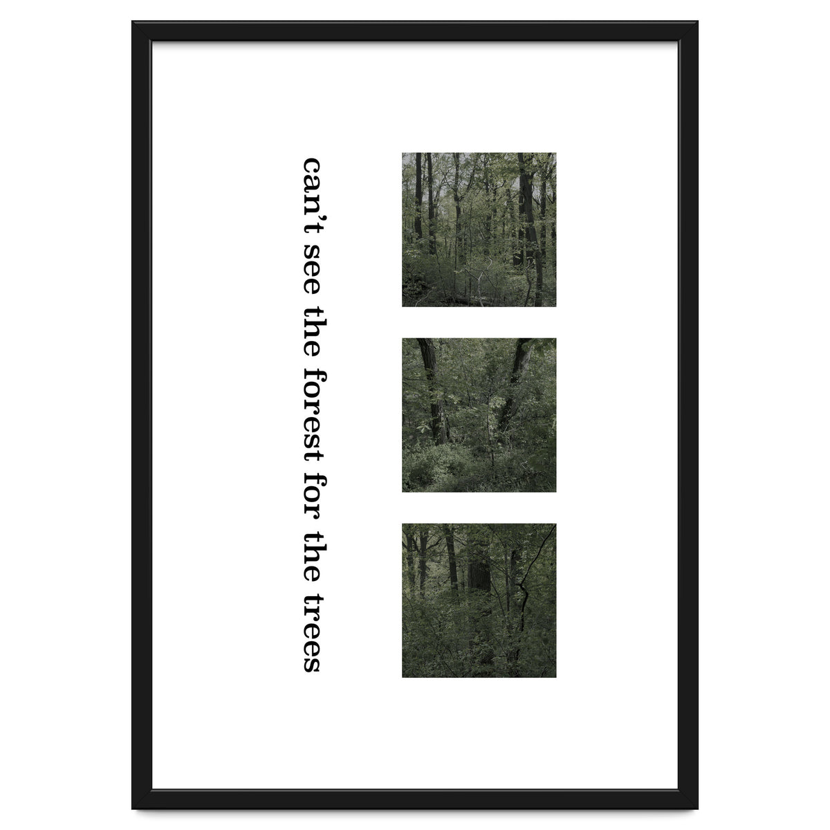 can’t see the forest for the trees