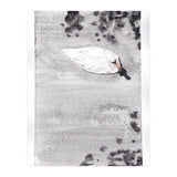 Swan (Print Only) thumbnail