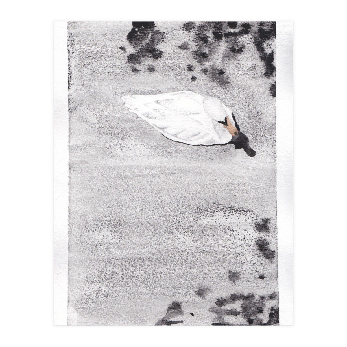 Swan (Print Only)