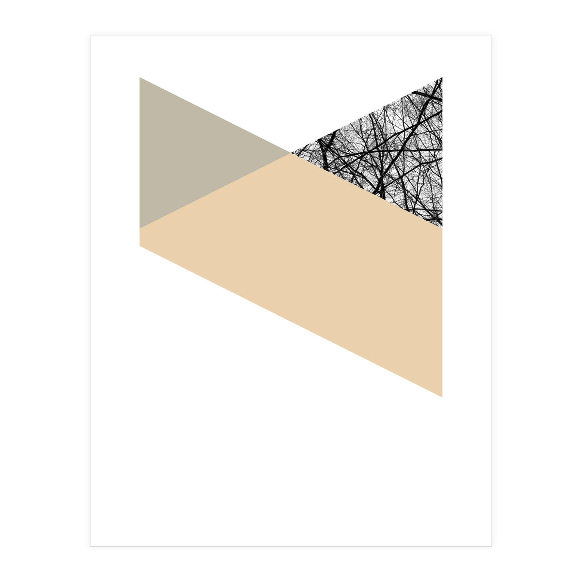 TRIWOOD IV (Print Only)