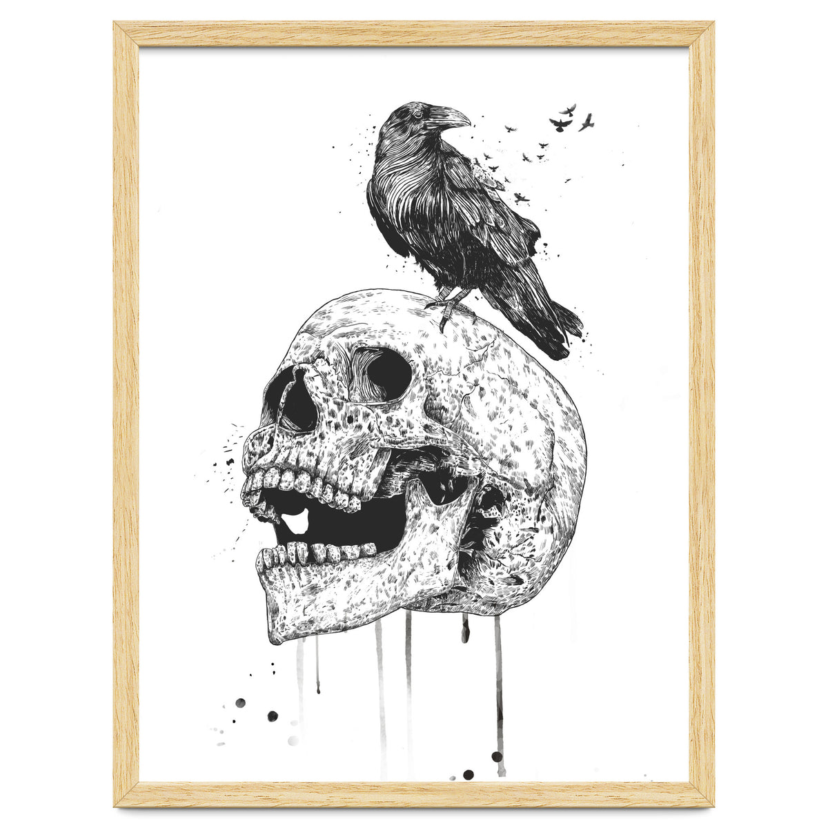 New Skull (bw)