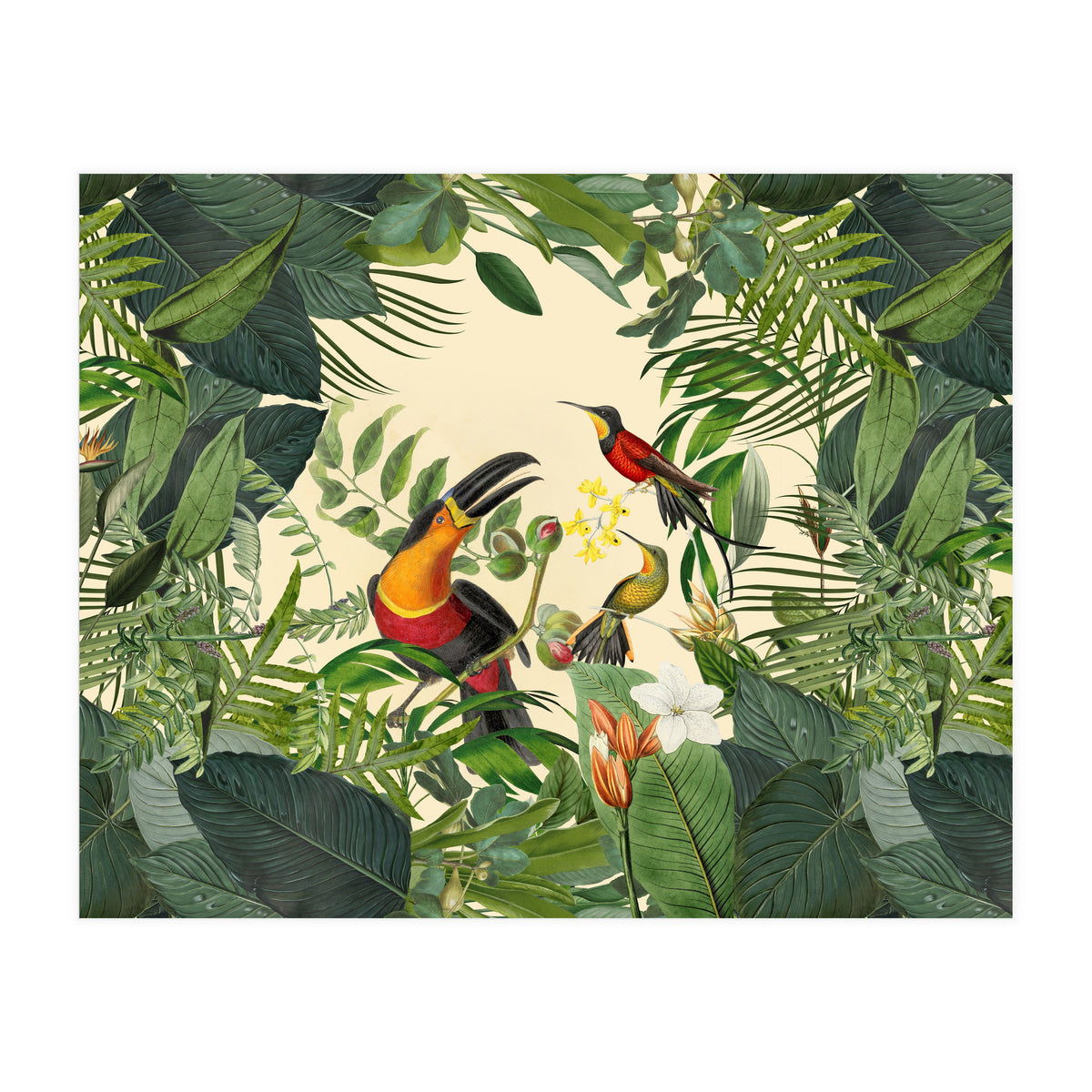 Green Jungle Toucans 2 (Print Only)