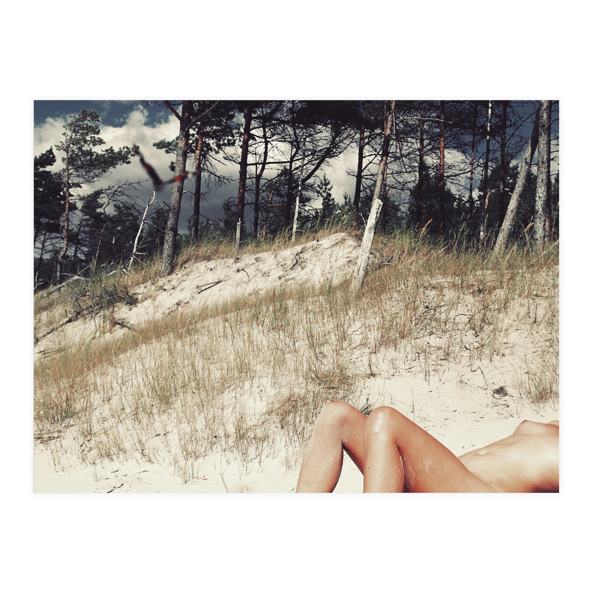 Vacation Postcard (Print Only)