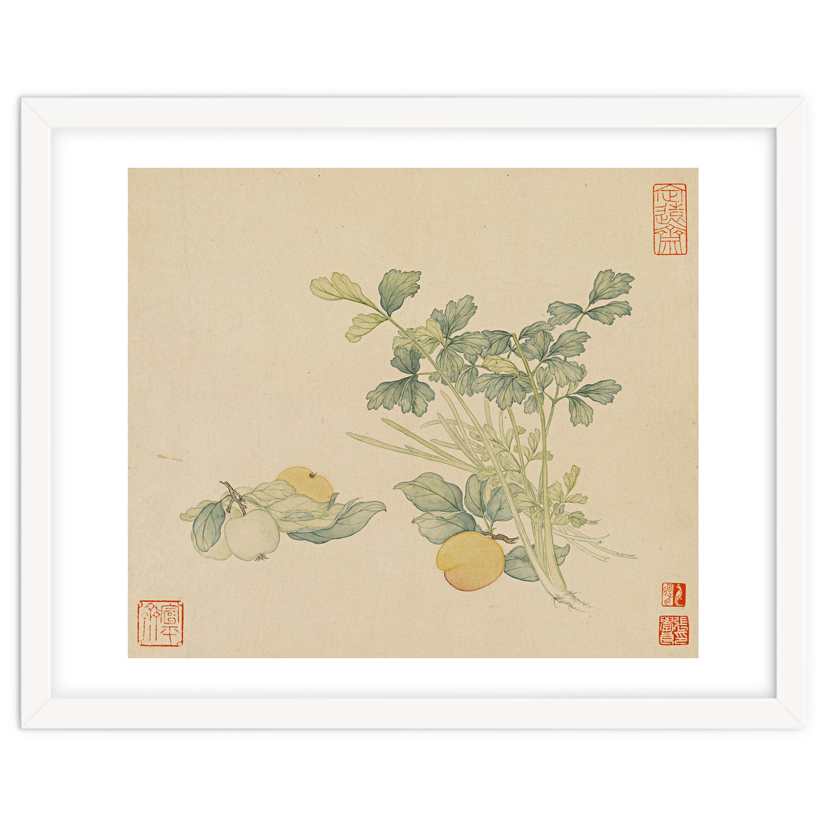 Wang Chengyu~flowers And Vegetables, Vegetables, Fruits, Plums, Apricots, Celery