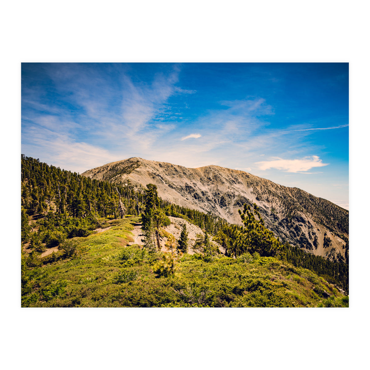 Mt Baldy (Print Only)